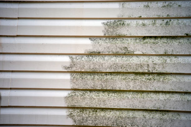 Best Property Management Cleanouts  in Eastwood, LA